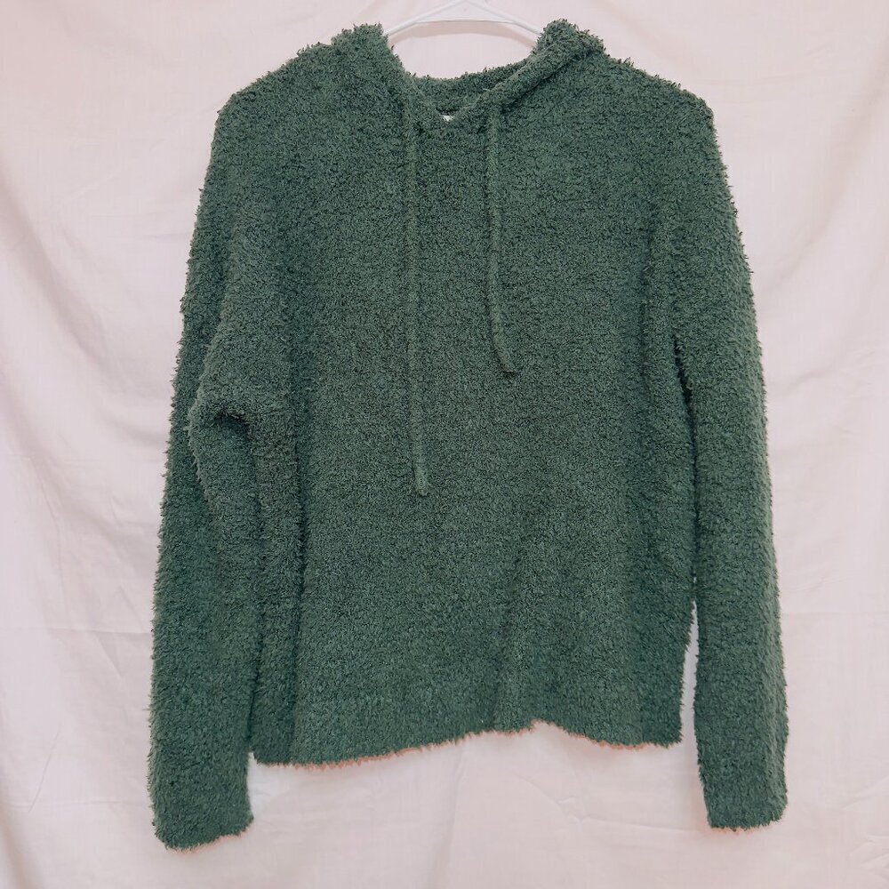 Aerie Green Long Sleeve Fuzzy Sherpa 'All Love' Hooded Pullover Sweater size XS